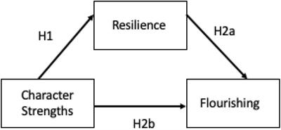 The Proactive-Reactive Resilience as a Mediational Variable Between the Character Strength and the Flourishing in Undergraduate Students